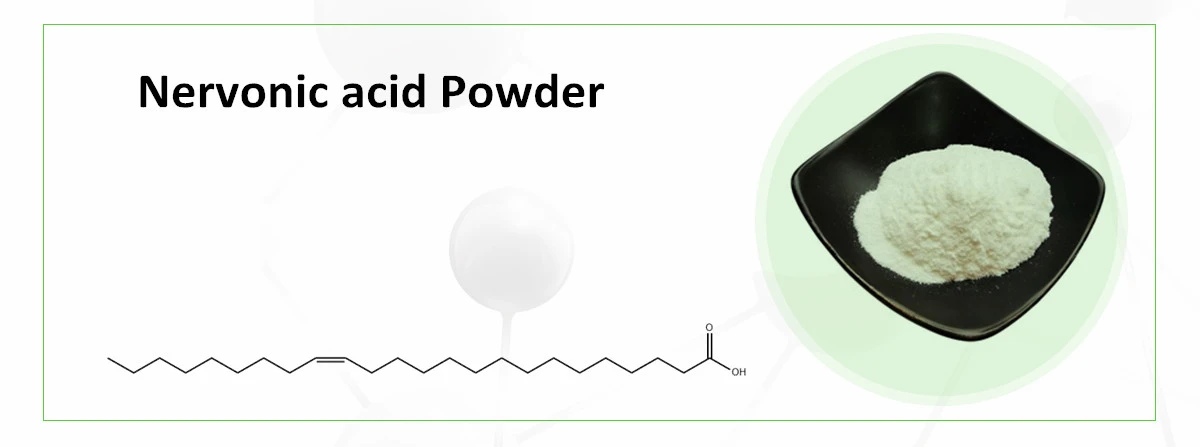 Nervonic acid Powder Nervonic acid Powder