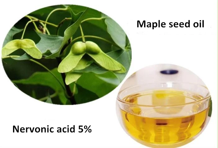 Nervonic acid Nervonic acid